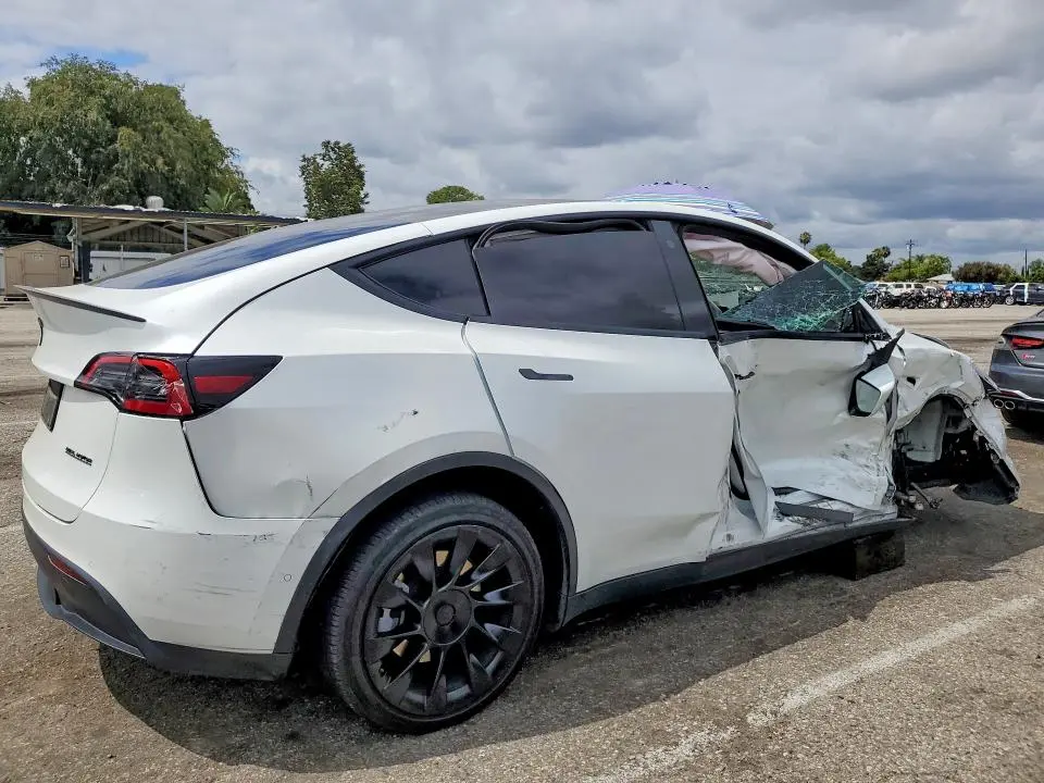 2022 TESLA MODEL Y   