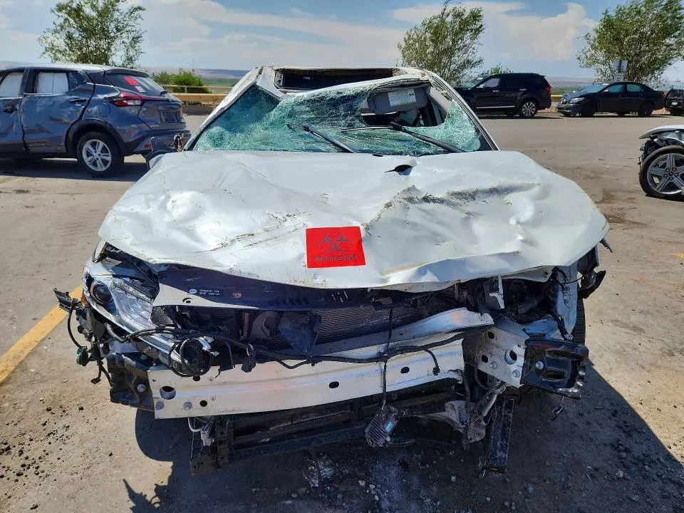 2024 TOYOTA CAMRY XLE  