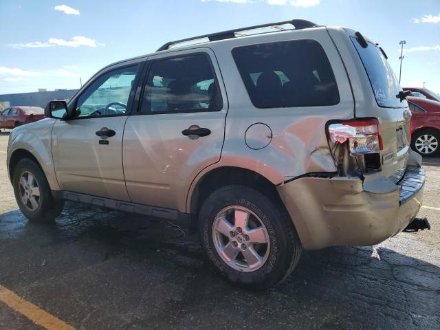 2011 FORD ESCAPE XLT