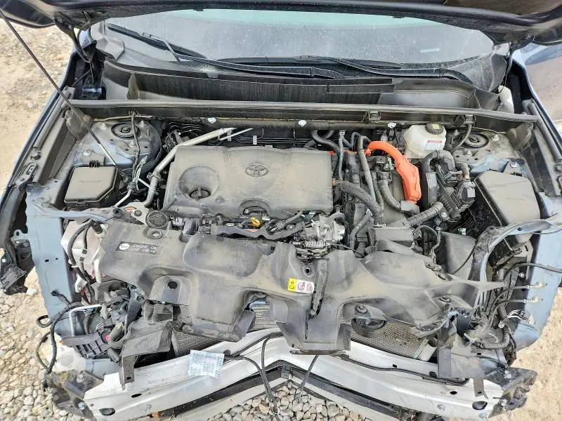 2024 TOYOTA VENZA XLE  