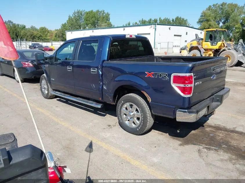 2014 FORD F-150 XLT