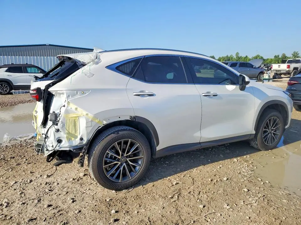 2025 LEXUS NX   