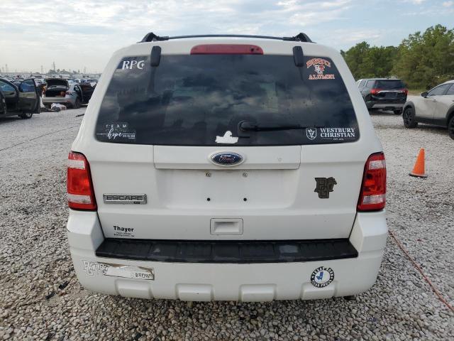 2010 FORD ESCAPE XLT