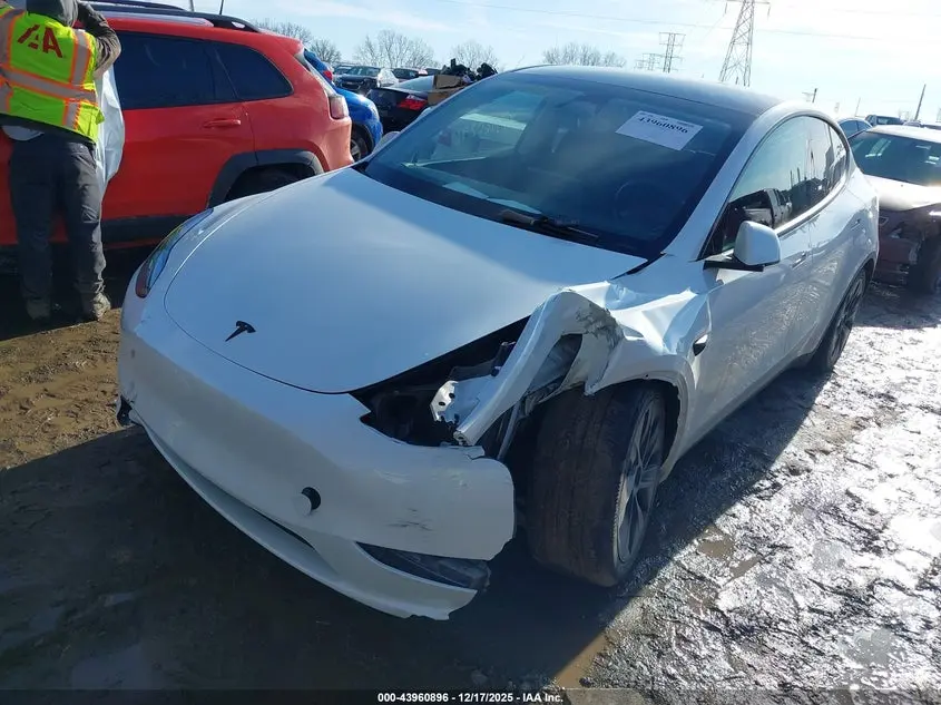 2024 TESLA MODEL Y RWD