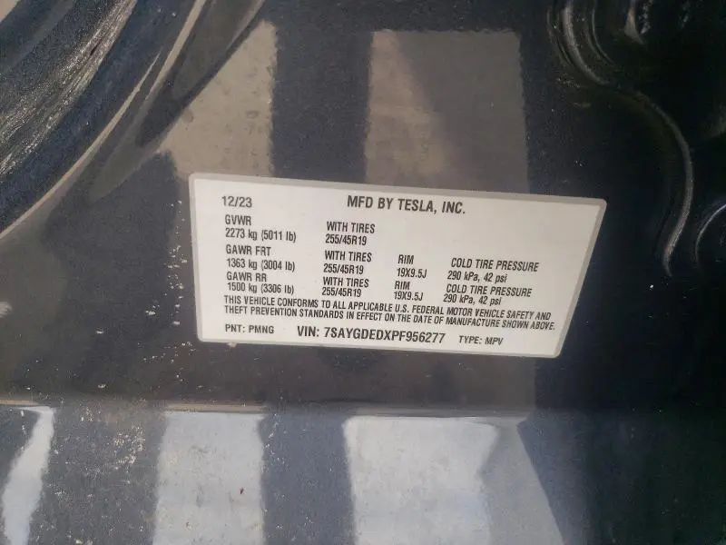 2023 TESLA MODEL Y   