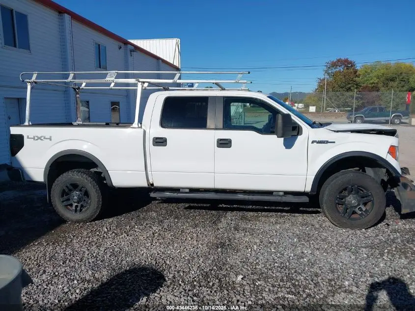 2014 FORD F-150 XLT