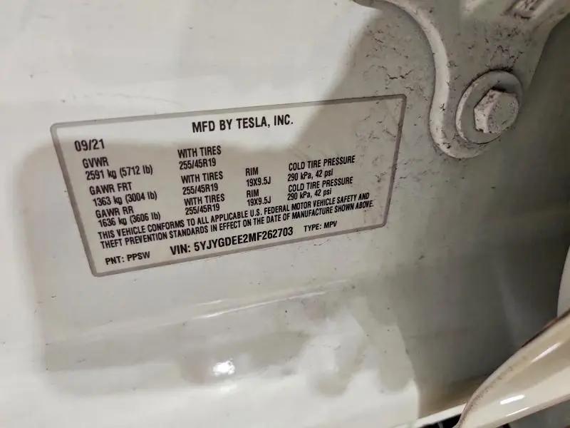 2021 TESLA MODEL Y   