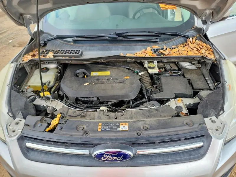 2014 FORD ESCAPE SE  