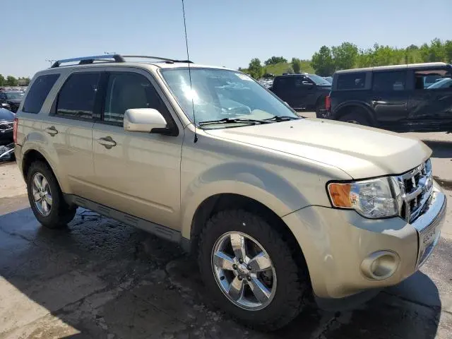 2010 FORD ESCAPE LIMITED  