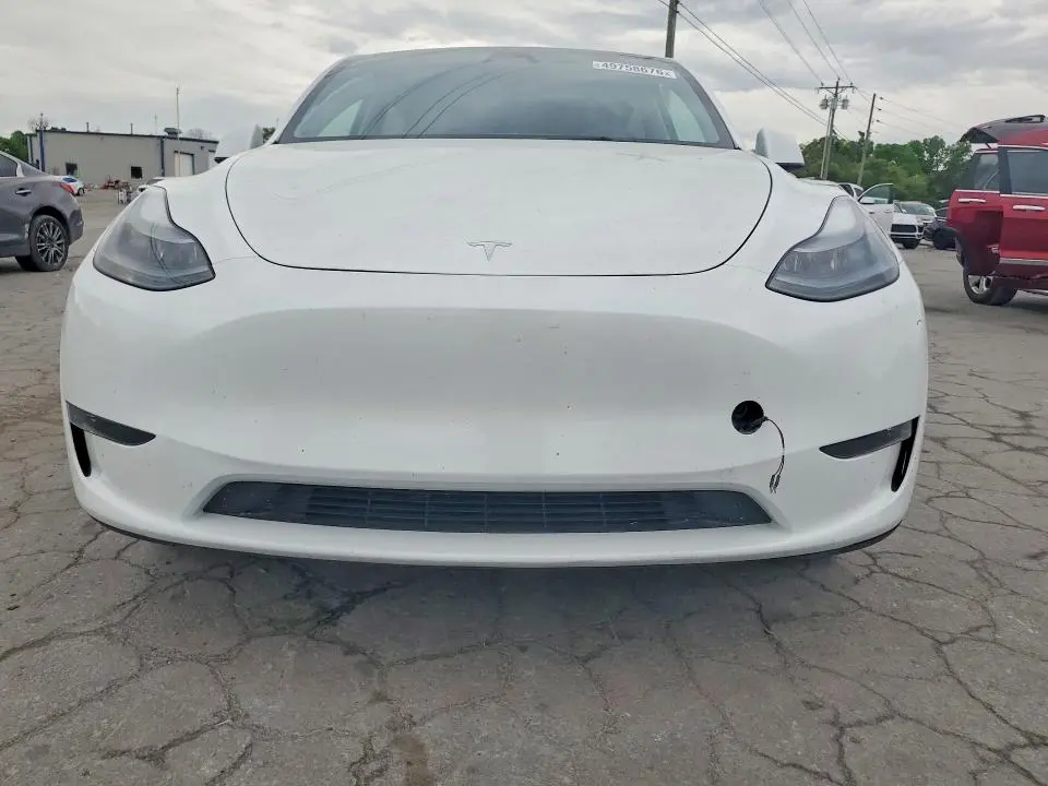 2025 TESLA MODEL Y   