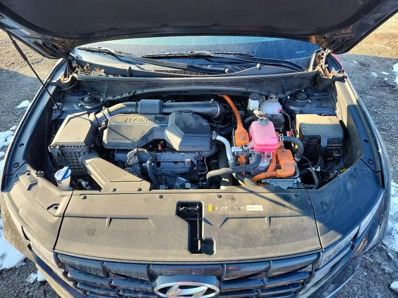 2024 HYUNDAI TUCSON BLUE  