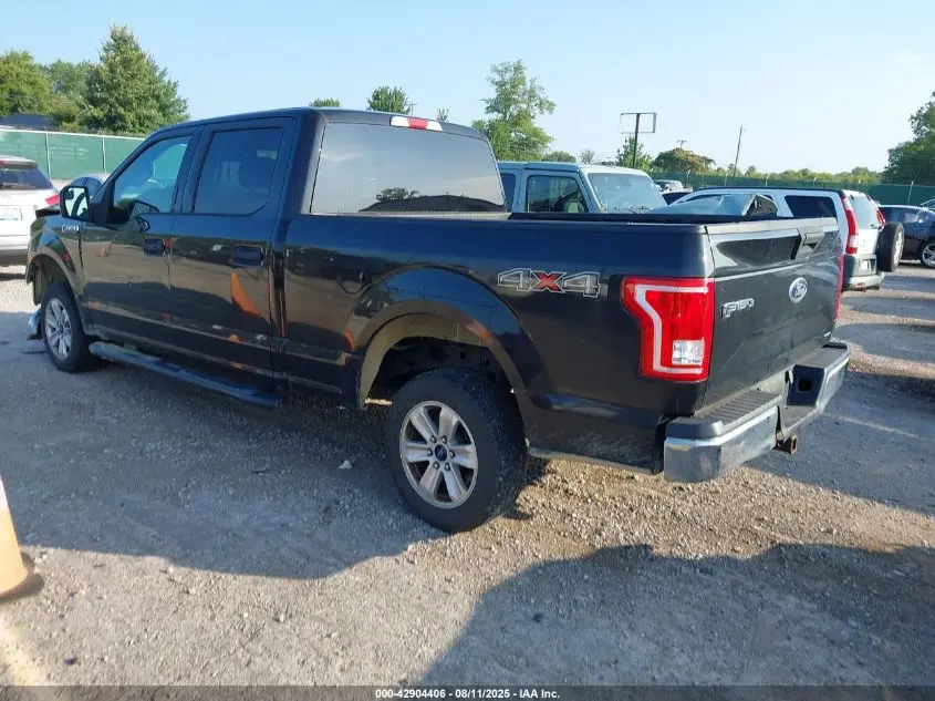2015 FORD F-150 XLT