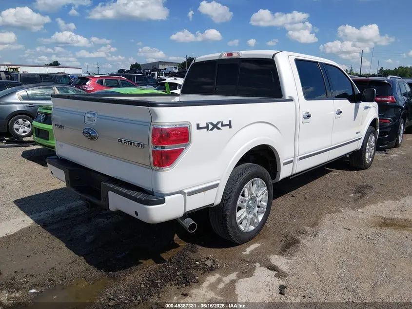 2013 FORD F-150 PLATINUM