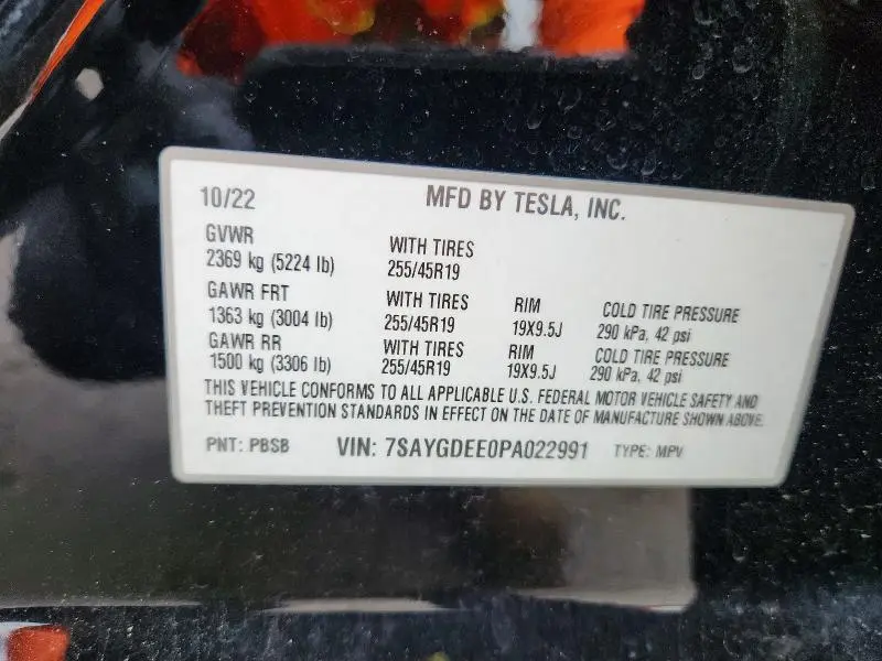 2023 TESLA MODEL Y   