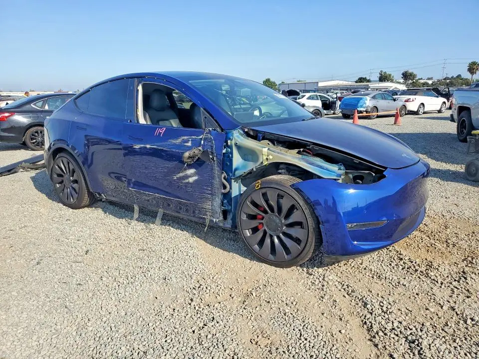 2021 TESLA MODEL Y   