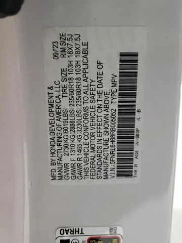 2024 HONDA ODYSSEY EXL