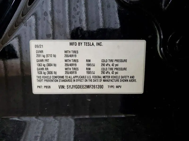 2021 TESLA MODEL Y   