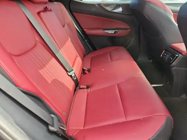 2024 LEXUS NX 250 BASE  