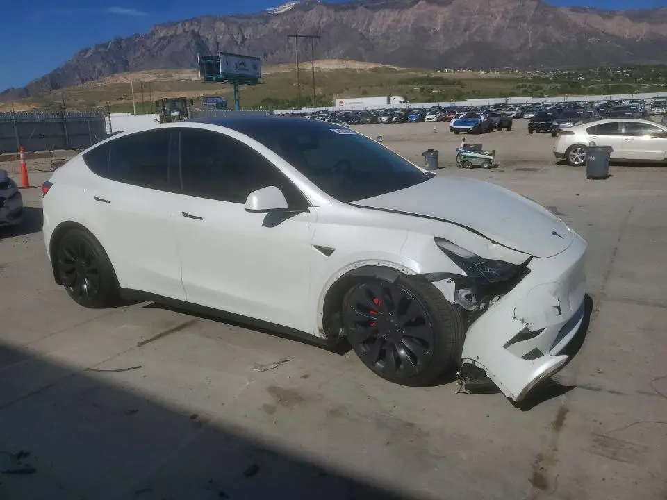 2021 TESLA MODEL Y   