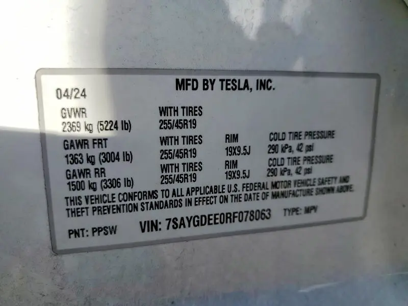2024 TESLA MODEL Y   