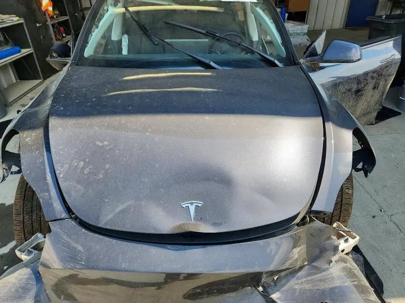 2025 TESLA MODEL Y   