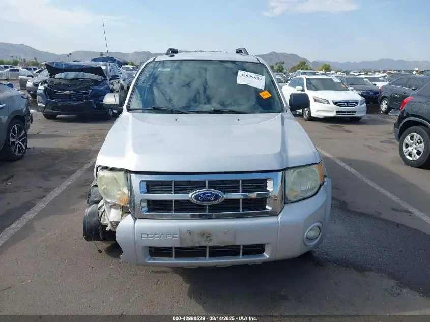 2010 FORD ESCAPE XLT