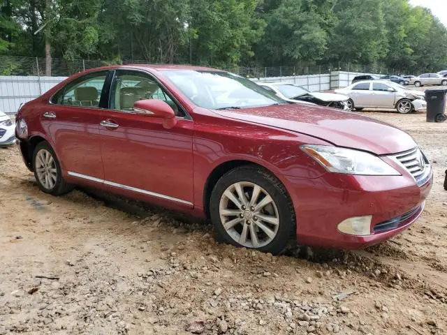 2010 LEXUS ES 350  