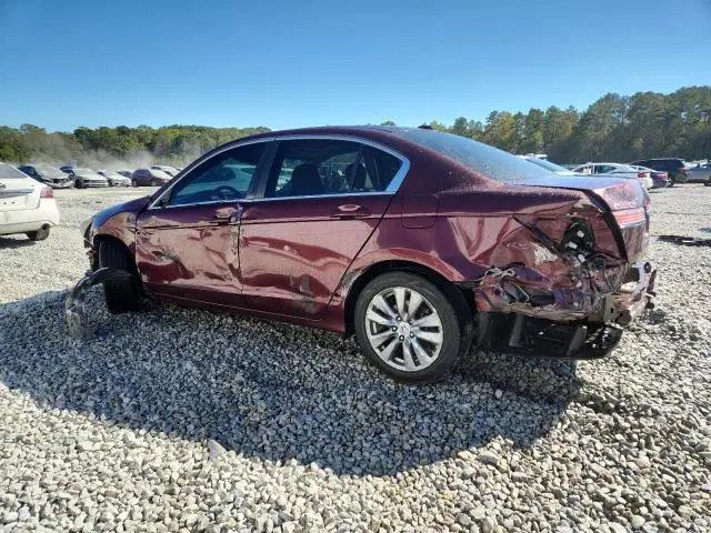 2011 HONDA ACCORD EXL  