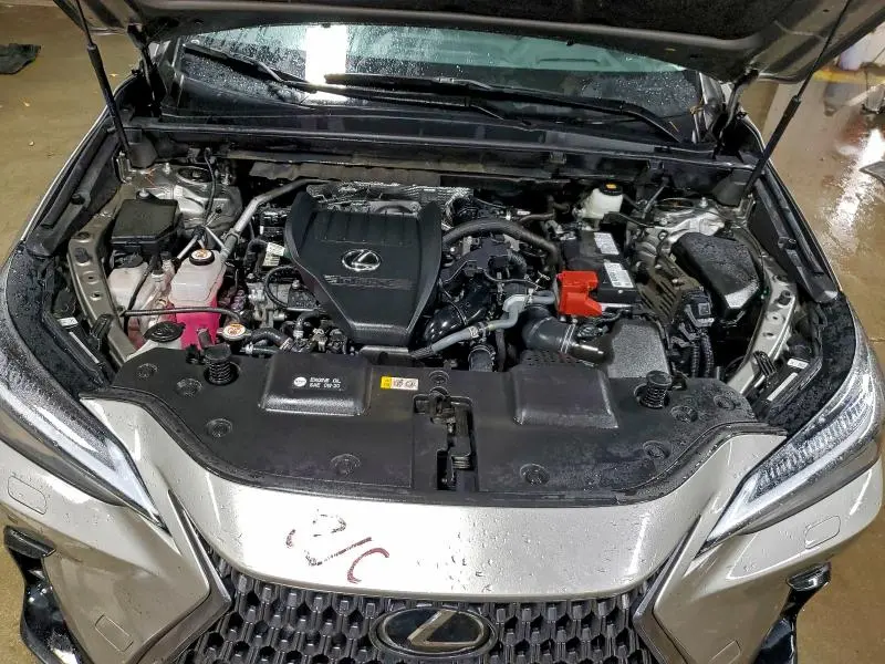 2024 LEXUS NX 350 LUXURY  