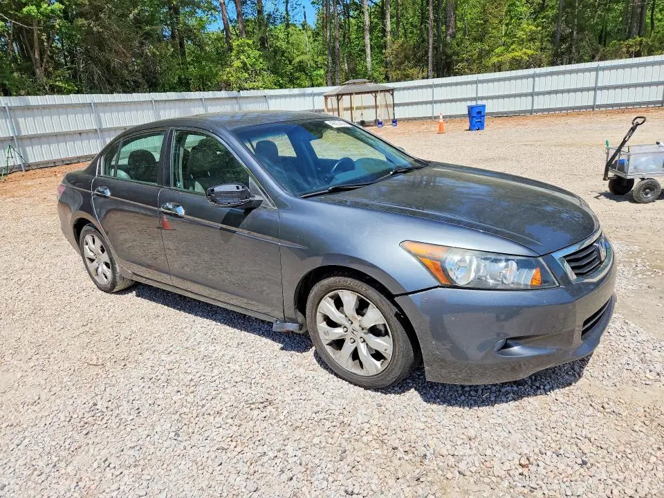 2010 HONDA ACCORD EXL  