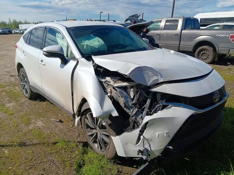 2023 TOYOTA VENZA LE  