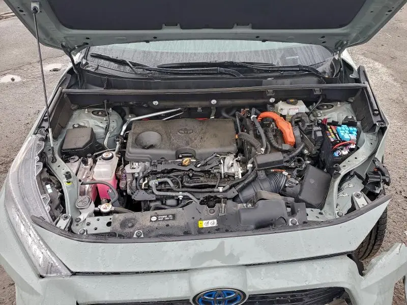 2020 TOYOTA RAV4 XLE  