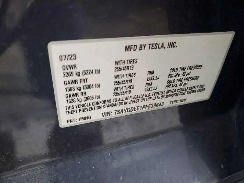 2023 TESLA MODEL Y   