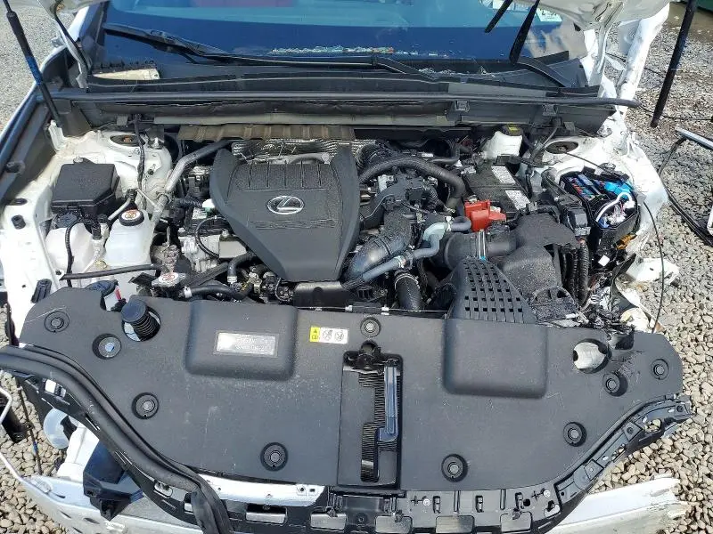 2025 LEXUS NX 350 BASE  