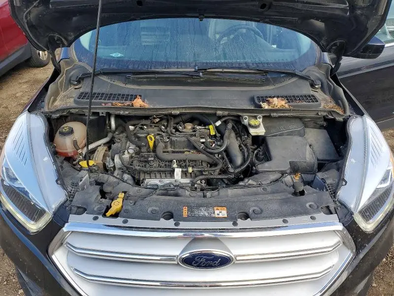 2019 FORD ESCAPE SEL  