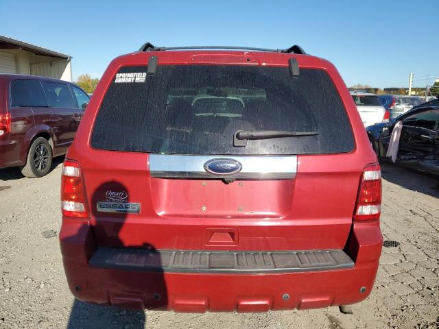 2010 FORD ESCAPE LIMITED