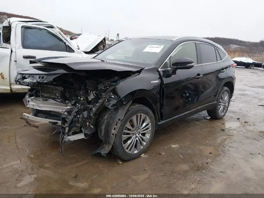 2021 TOYOTA VENZA XLE