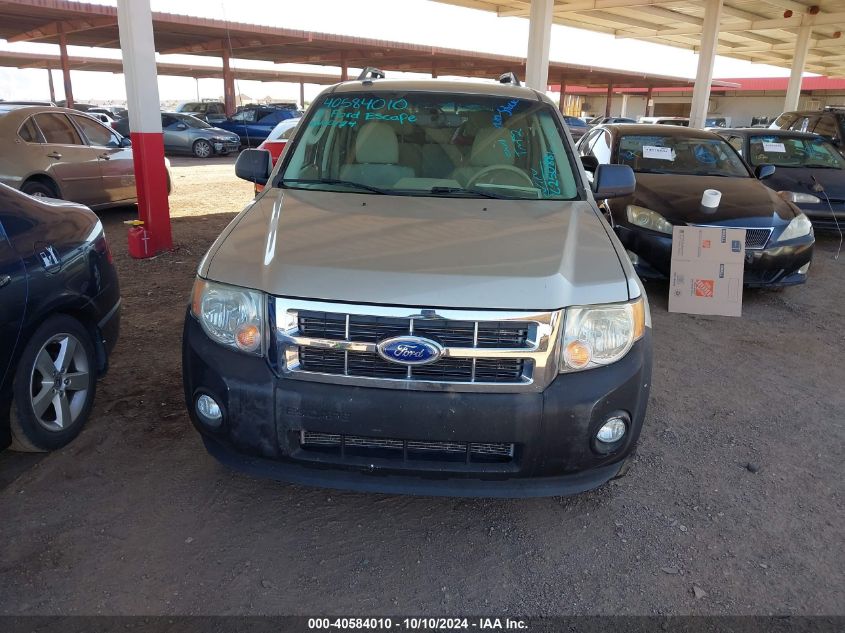 2011 FORD ESCAPE XLT