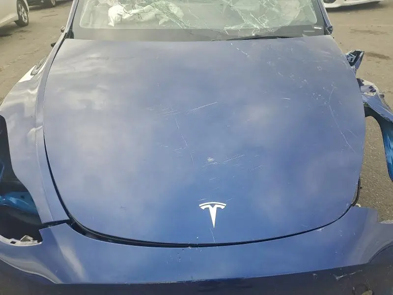 2025 TESLA MODEL Y   