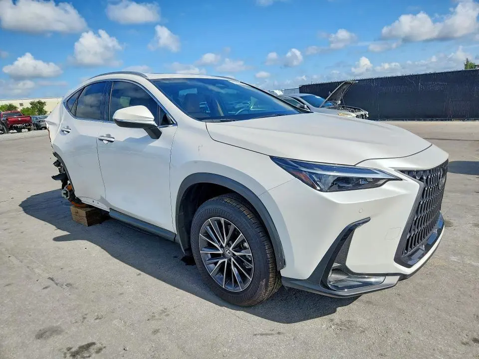 2025 LEXUS NX 350 PREMIUM  