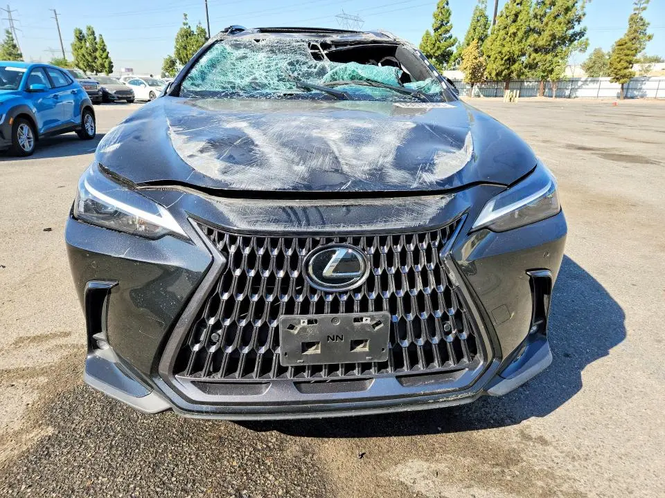 2025 LEXUS NX 250 PREMIUM  