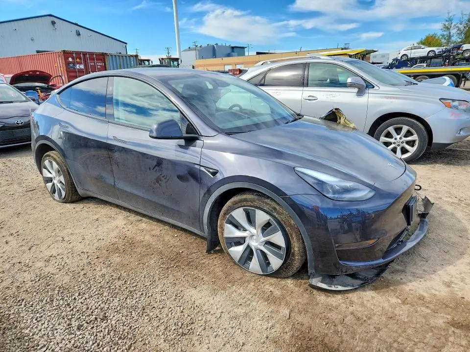 2024 TESLA MODEL Y   
