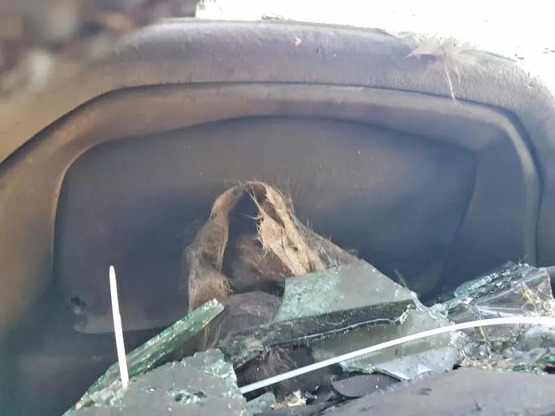 2017 CHEVROLET SILVERADO K1500 LTZ  