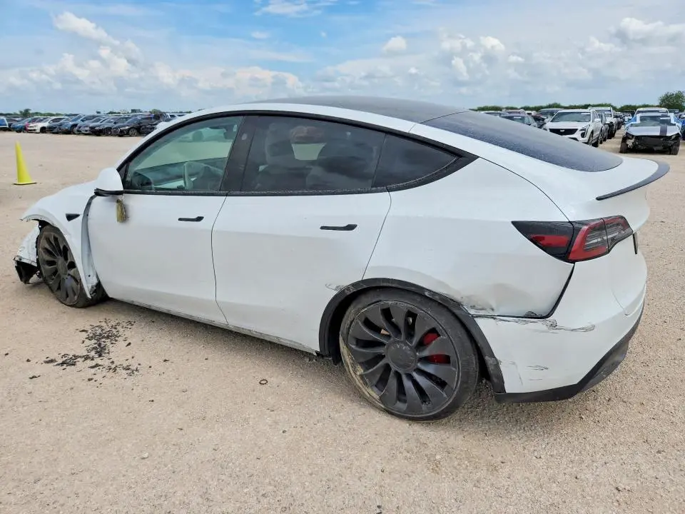 2024 TESLA MODEL Y   
