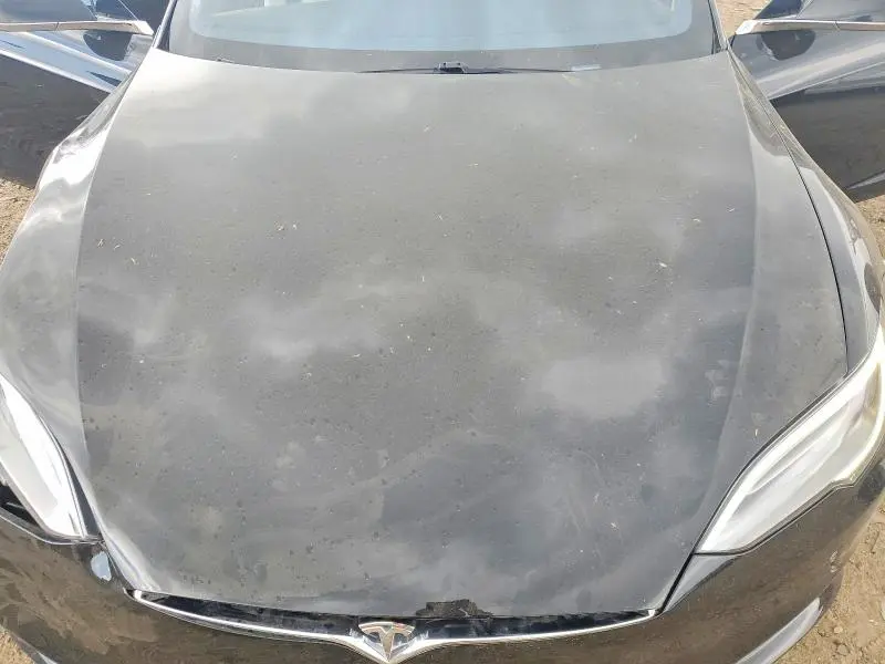 2019 TESLA MODEL S   