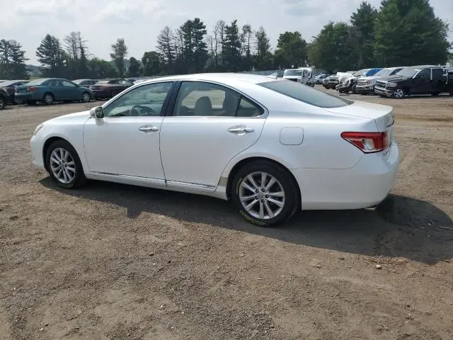 2010 LEXUS ES 350  