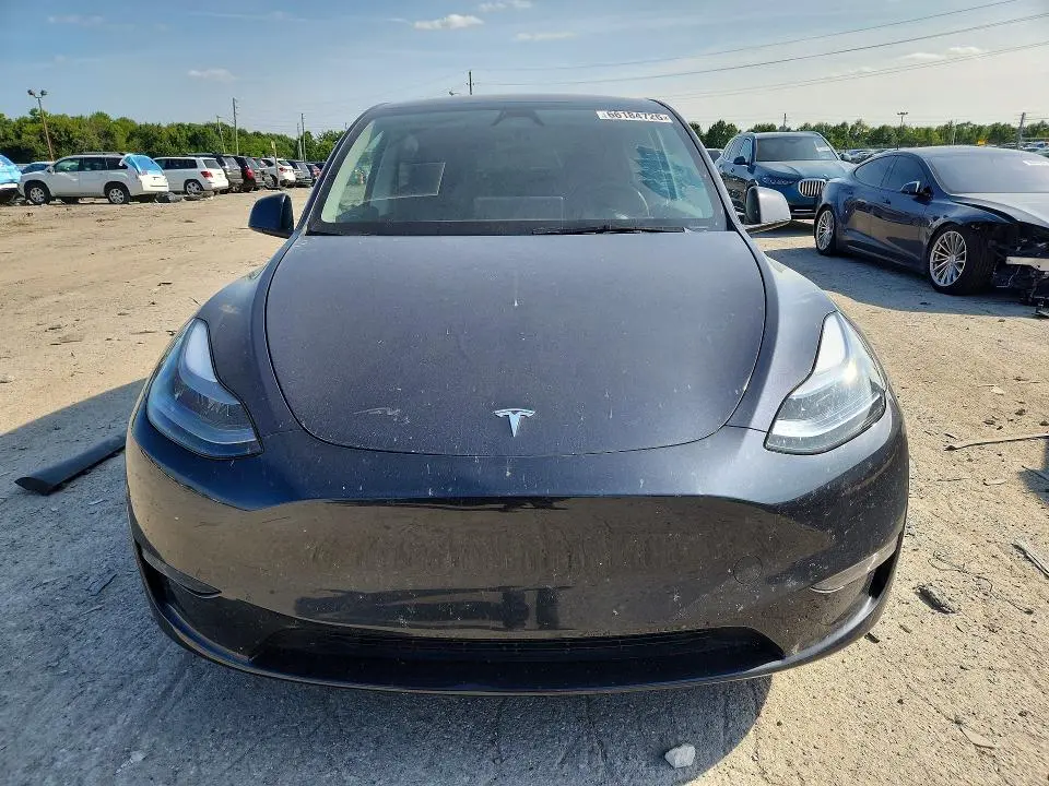 2025 TESLA MODEL Y   