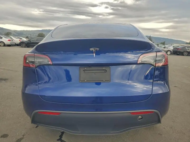 2025 TESLA MODEL Y   