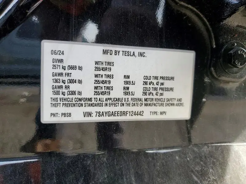 2024 TESLA MODEL Y   
