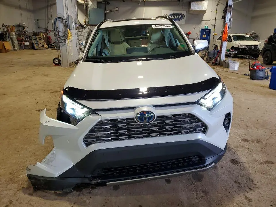 2024 TOYOTA RAV 4   